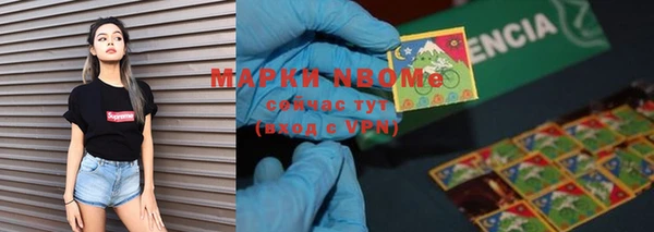 молекула духа Богородицк