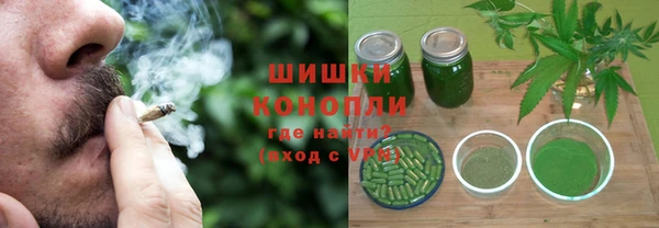 дживик Надым