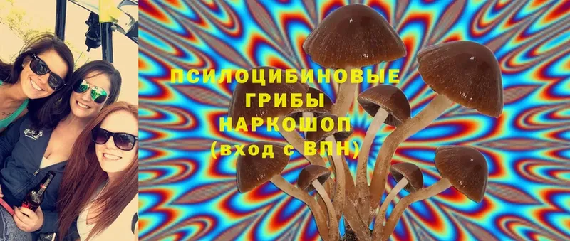 где найти наркотики  hydra вход  Галлюциногенные грибы Psilocybe  Карабаш 